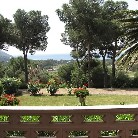 Conti Lacona