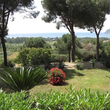 Conti Aparthotel Lacona