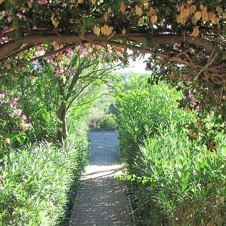 Conti 4* Lacona