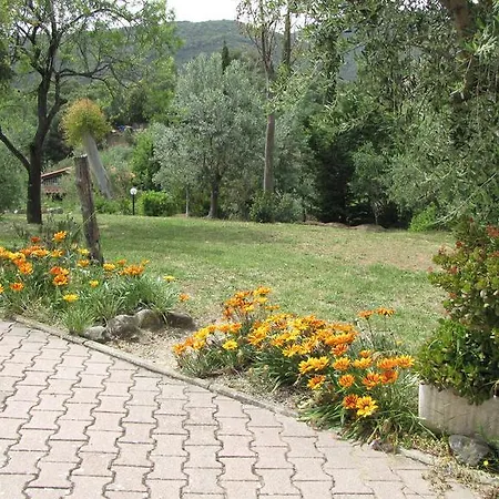 Conti