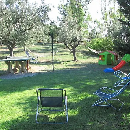 Conti 4*