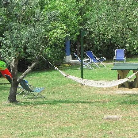 Conti Lacona