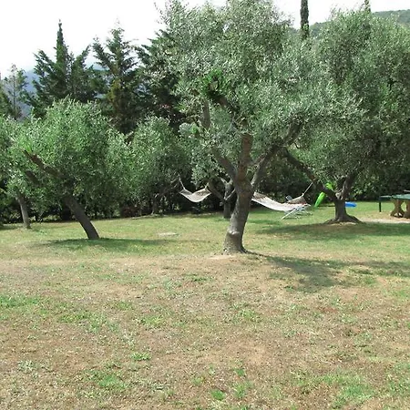Aparthotel Conti 4*