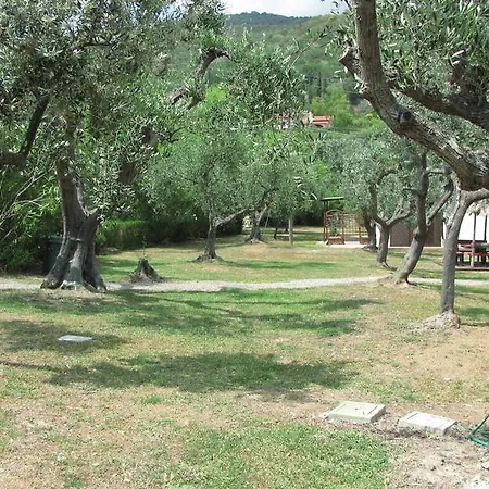 Conti 4*