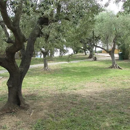 Conti 4* Lacona