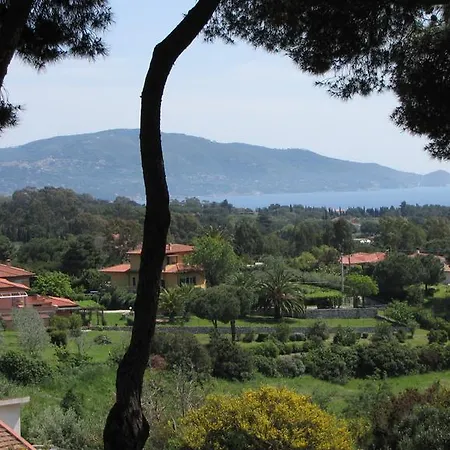 Conti Lacona