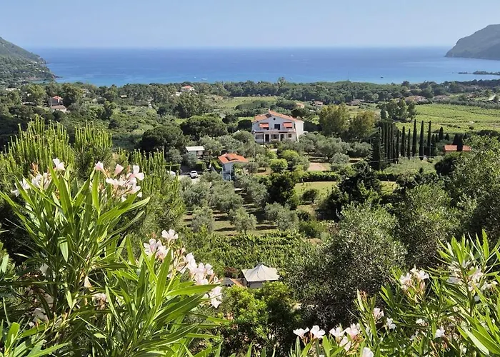 Conti 4* Lacona