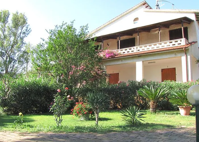 Conti 4*