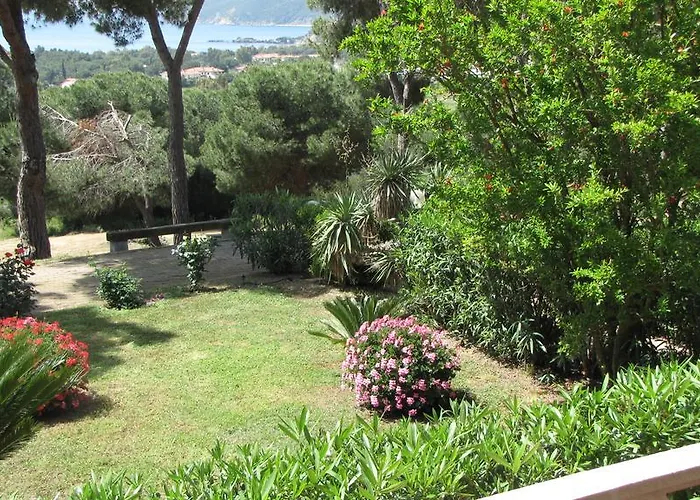 Conti 4* Lacona