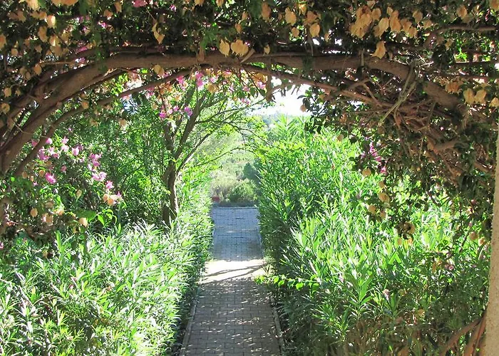 Conti 4* Lacona