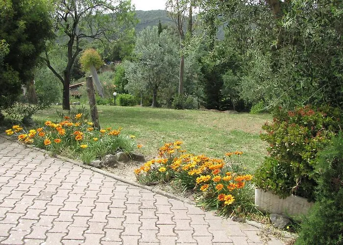 Conti