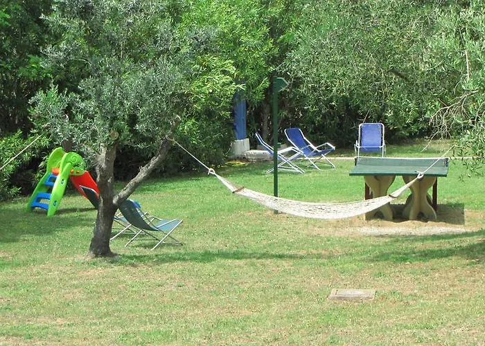 Conti Lacona