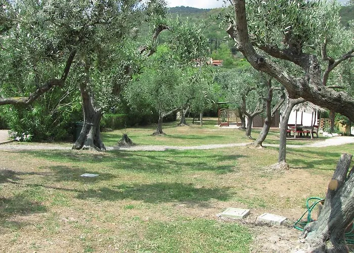 Conti 4*
