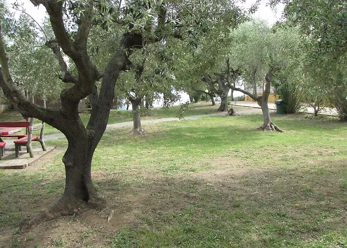 Conti 4* Lacona