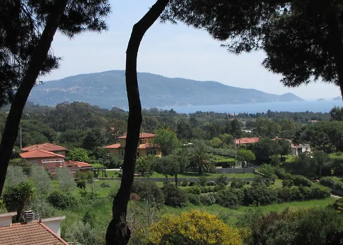 Conti Lacona
