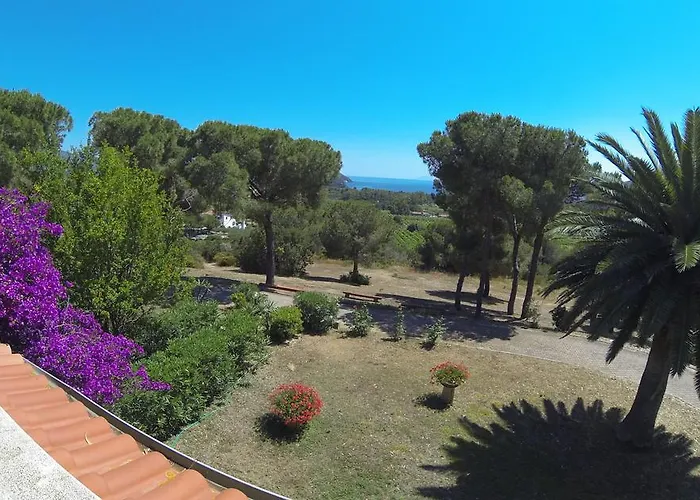 Conti 4* Lacona