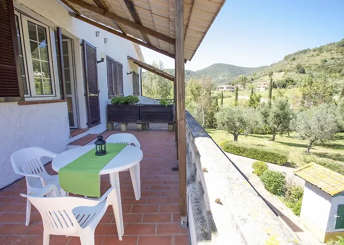Conti 4*