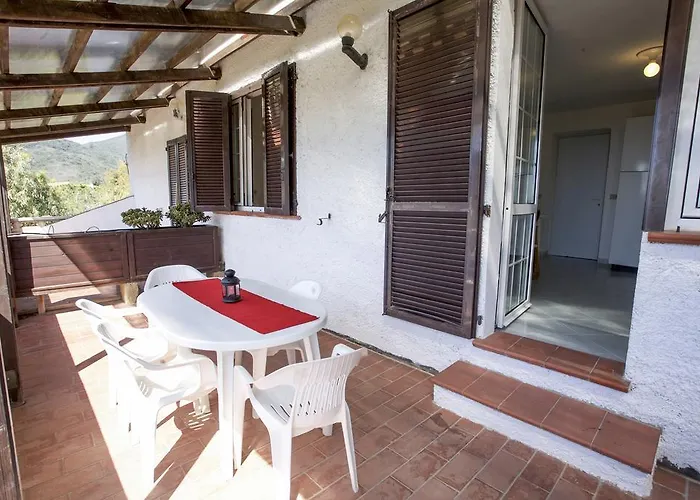 Conti 4*
