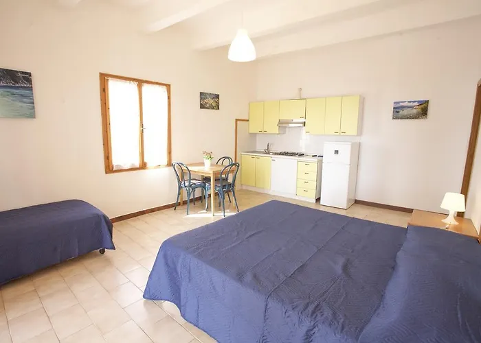 Conti 4*