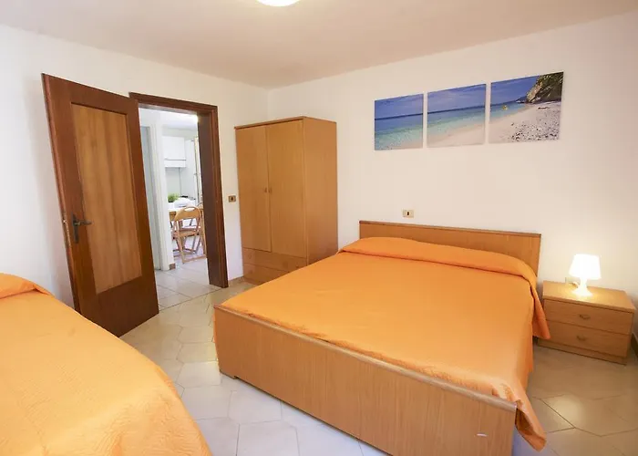 Conti Lacona