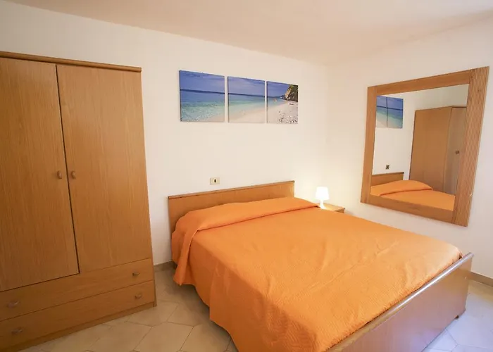 Conti 4*