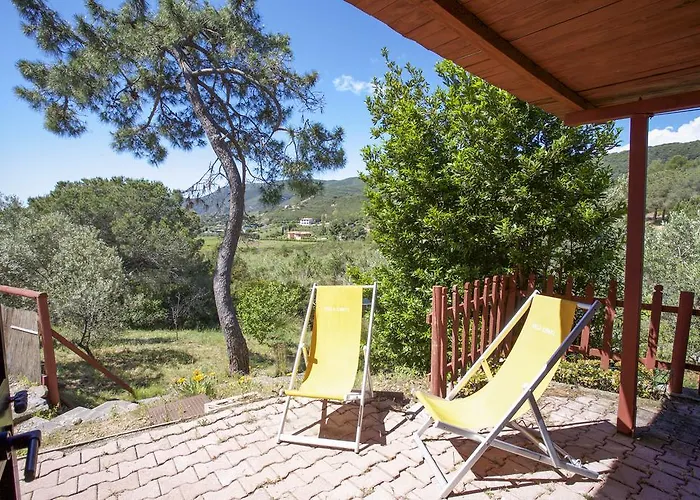 Conti 4*