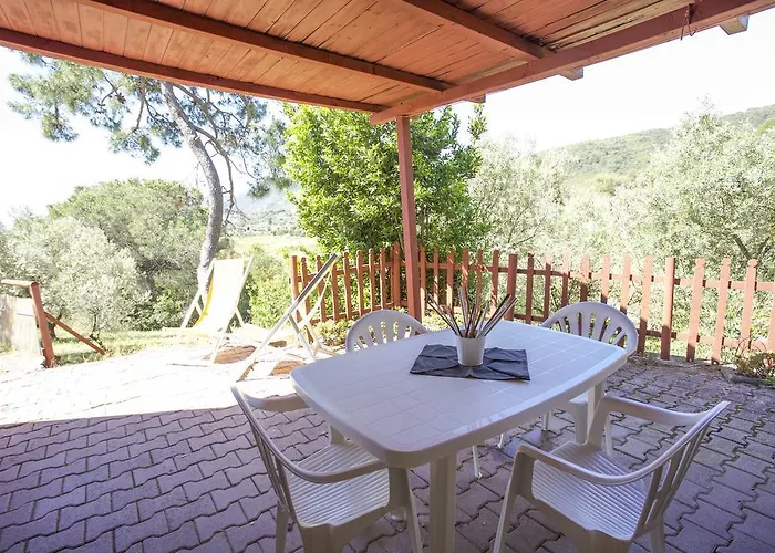 Conti 4*