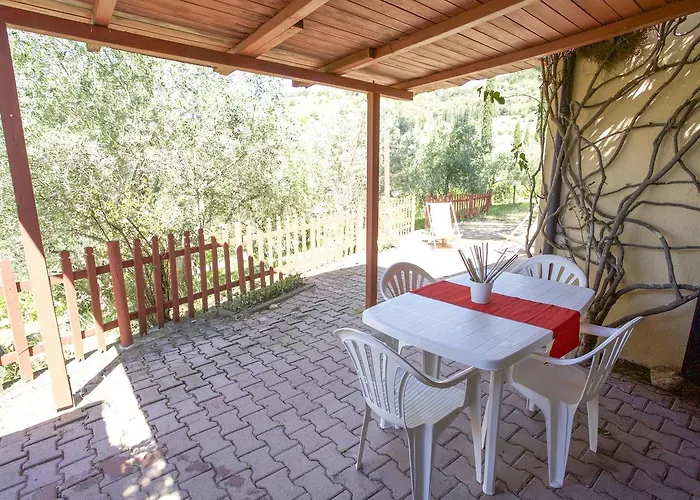 Conti 4* Lacona